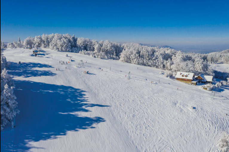 Komunikat narciarski 15.02.2022