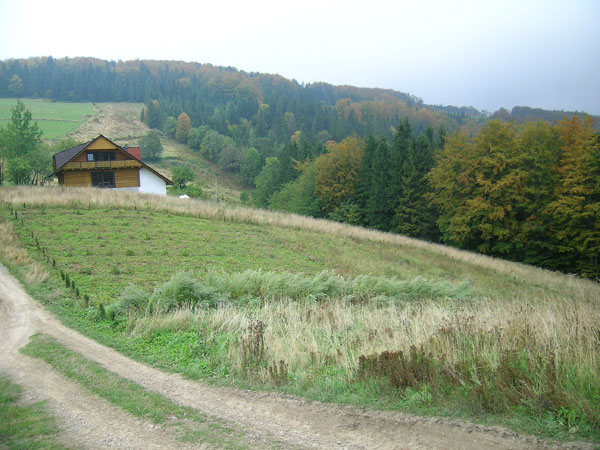 Wisła