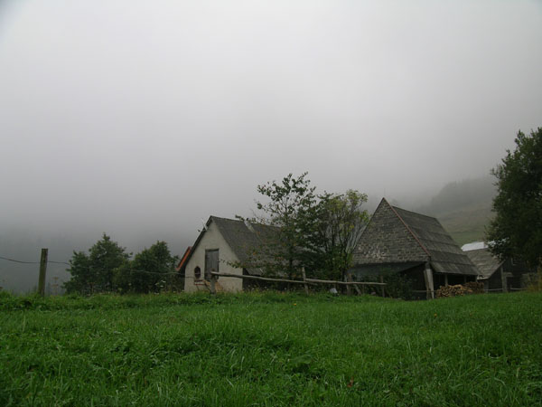 Wisła