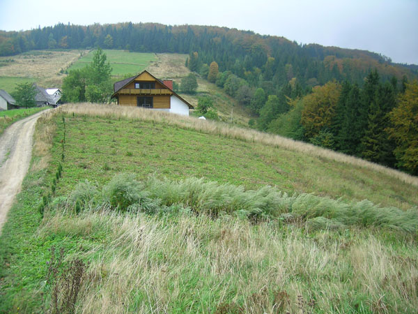 Wisła