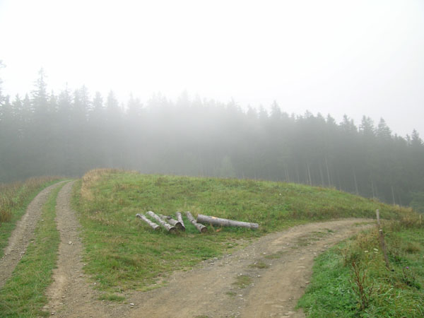 Wisła